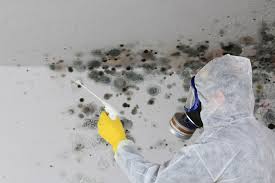 Best Real Estate Mold Inspection  in USA